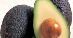 avocadophoto
