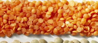 green-red-and-brown-lentils