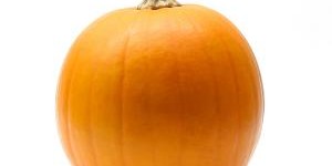 pumpkin1