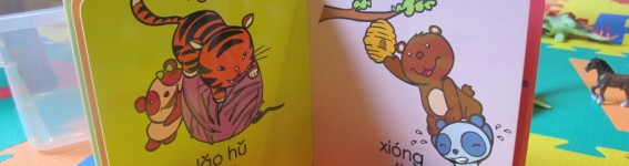 Chinese Lesson