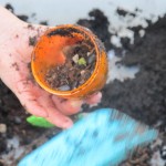 Spring Sensory Tub