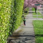 Color Hunt Toddler and Preschool Spring Activity