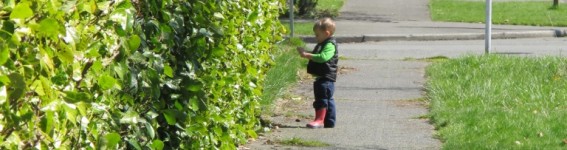 Color Hunt Toddler and Preschool Spring Activity