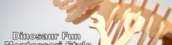 Dinosaur Fun - Montessori Style