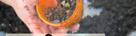 easyandfrugalsensory