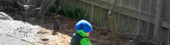 gardeningwithkidsfeature