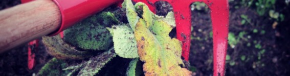 gardeningtoolsforkids
