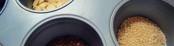 preschoolbotanyseeds