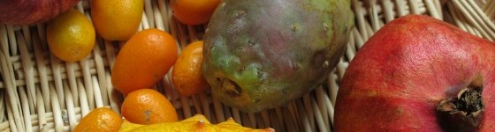 parts_of_fruit