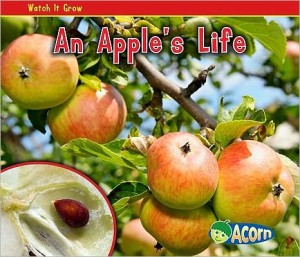 Reading Corner: An Apple's Life by Nancy Dickman
