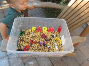 Farm Themed Sensory Tub