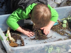 Spring Sensory Tub