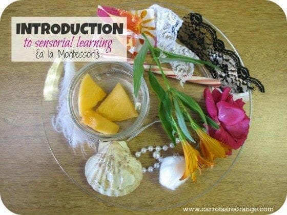 IntroductionSensory e