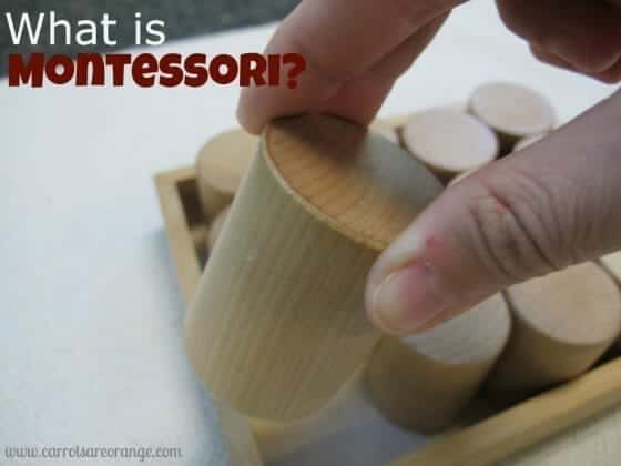 whatismontessori e