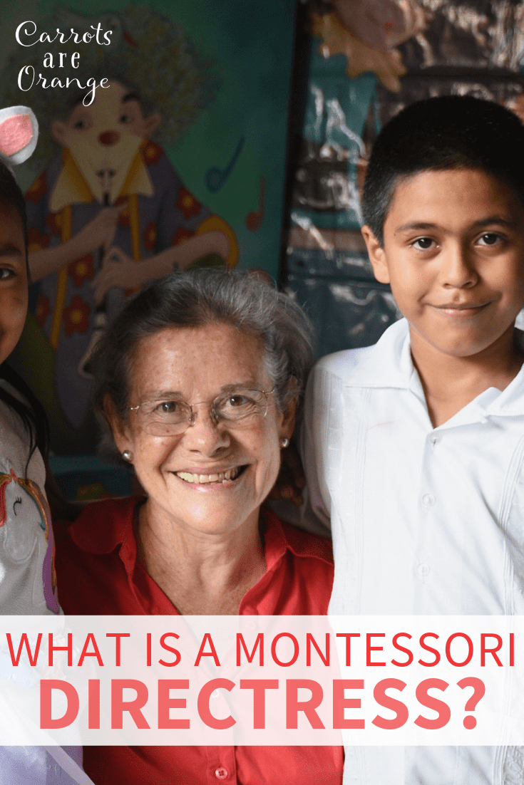 Directress in a Montessori Environment The Critical Role