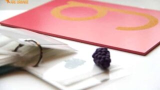 MONTESSORI LANGUAGE