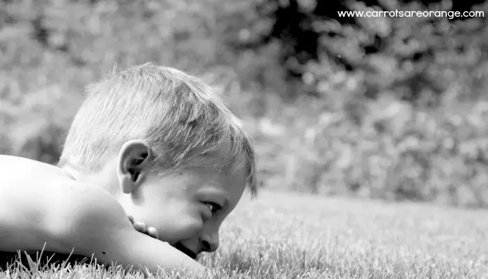 Montessori Language Feature