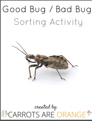 Good Bug Bad Bug