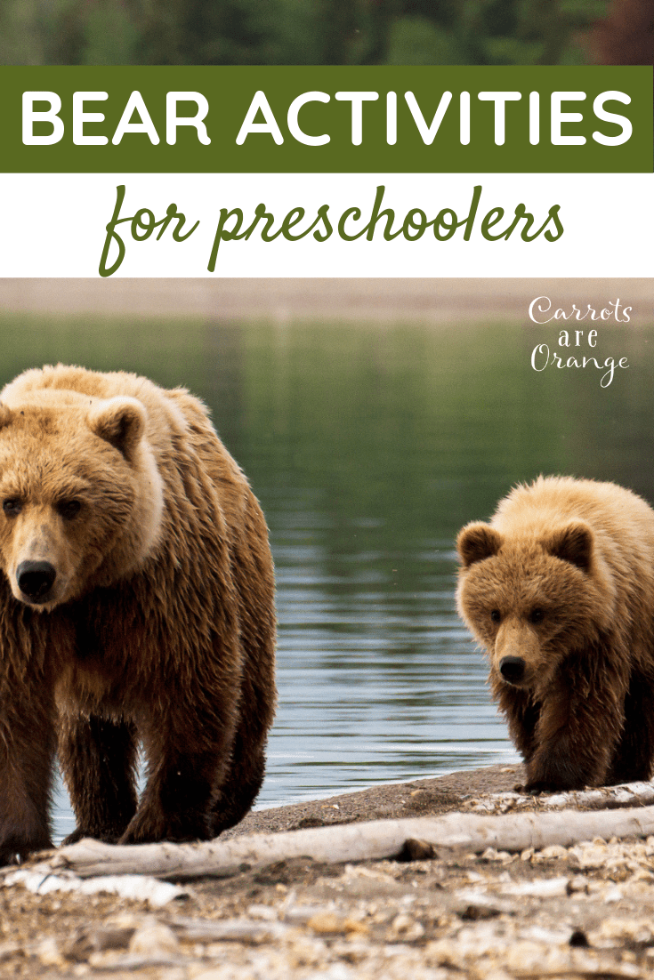 Super Fun & Easy Bear Activities for Preschoolers