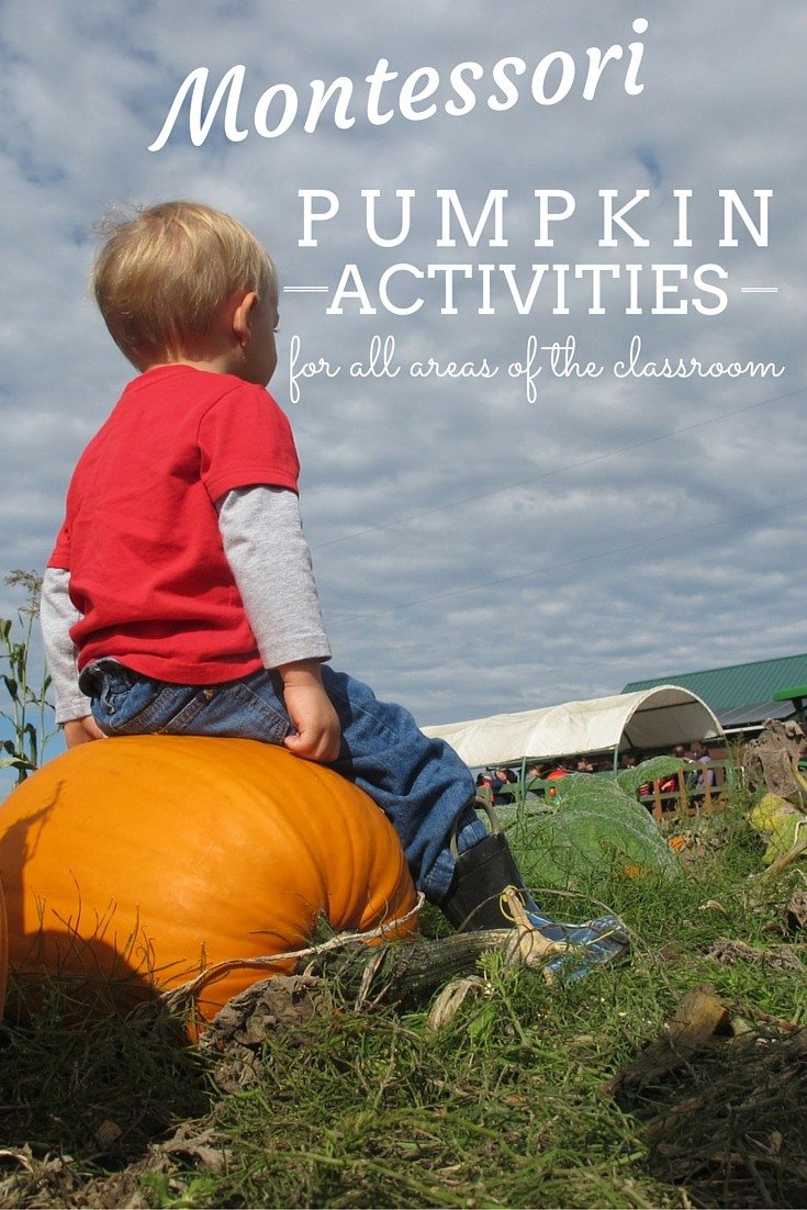 Montessori Pumpkin Activities