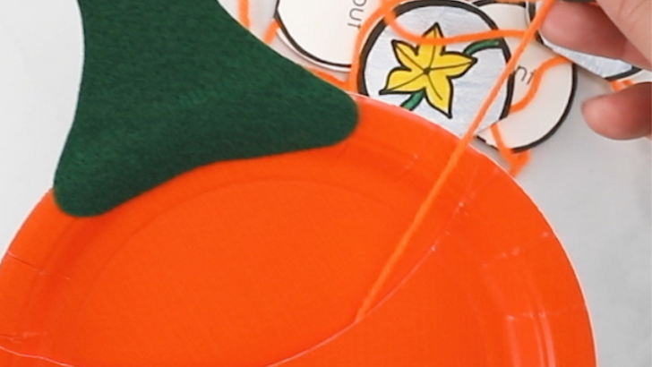 life cycle of a pumpkin activity