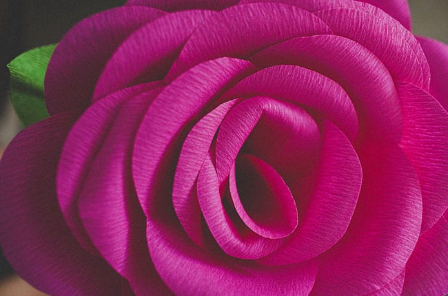 how to make a crepe rose