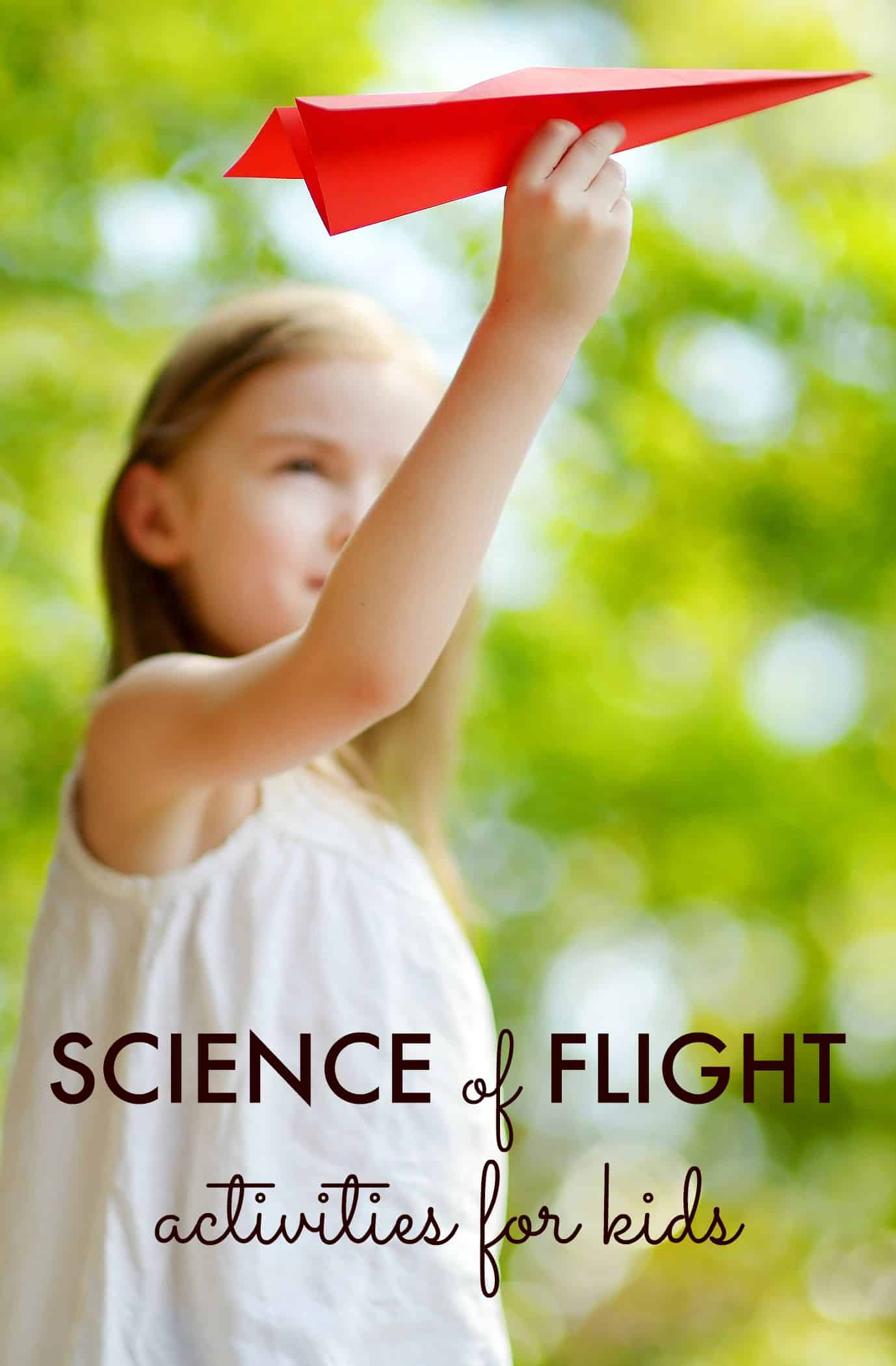 Are June Bugs Double Winged?  The Science Behind The Flight - hahmfe1