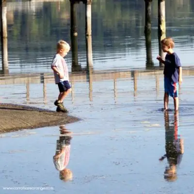 montessori kindergarten facebook