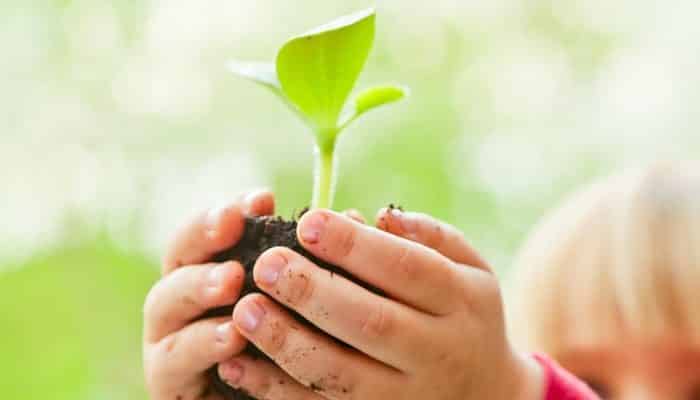 Type my botany homework 06 picture