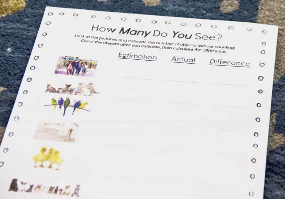 FREE Early Math stimation Worksheet
