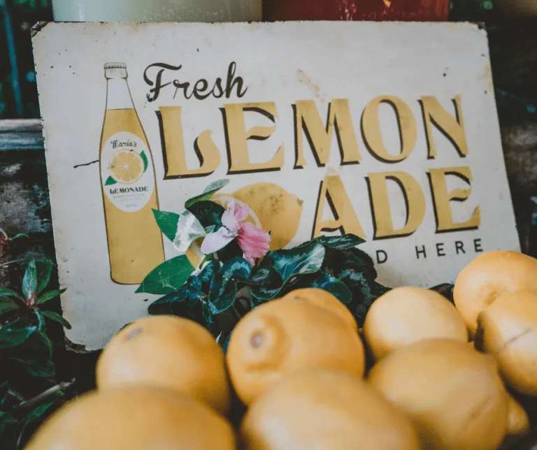 Ways for Kids to Make Money - Lemonade Stand