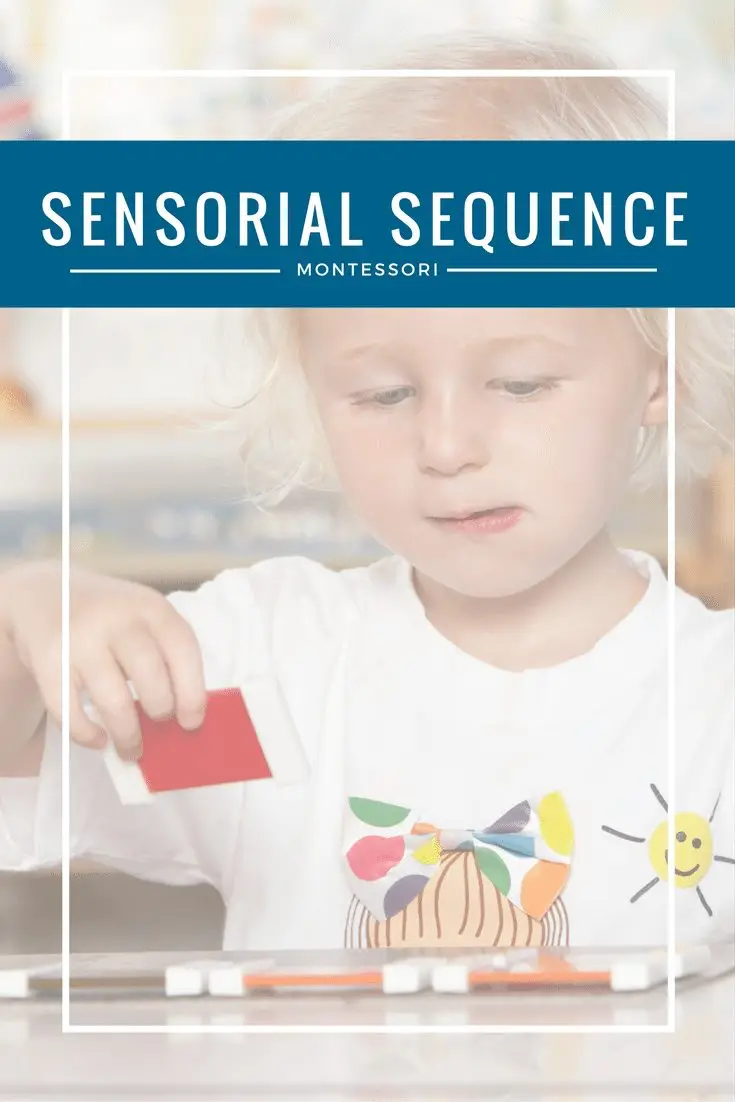 Montessori Sensorial Sequence