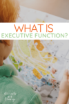 What is Executive Function