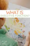 What is Executive Function