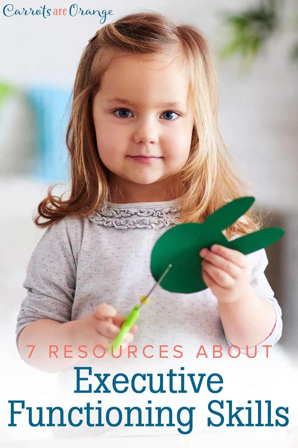 executive functioning skills scaled