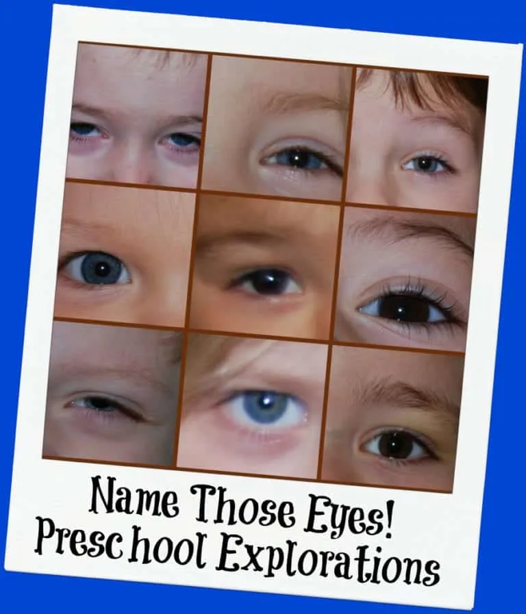 All About Me Exploring Eyes in Preschool